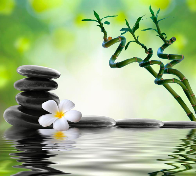 Фотошпалери Гілочки, камені, квітка