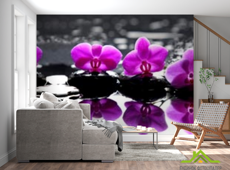 выбрать Фотообои фиолетовые орхидеи на камнях Фотообои Орхидеи на стену