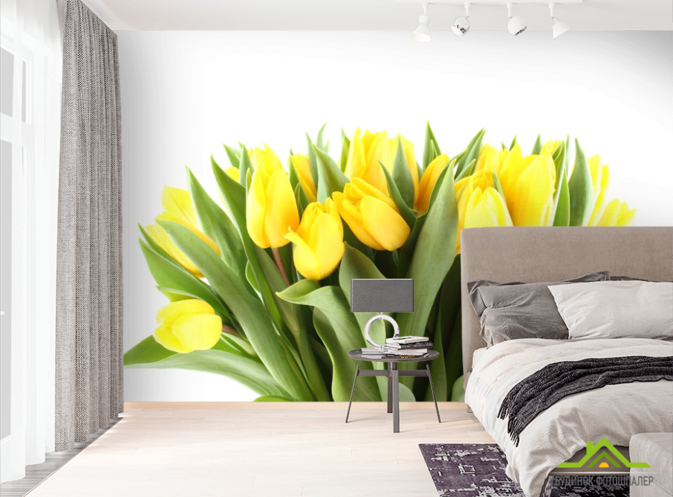 выбрать Фотообои желтые тюльпаны Фотообои Тюльпаны на стену