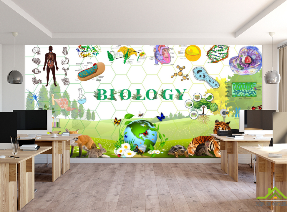 выбрать Фотошпалери Для кабінету біології Фотошпалери для школи на стіну