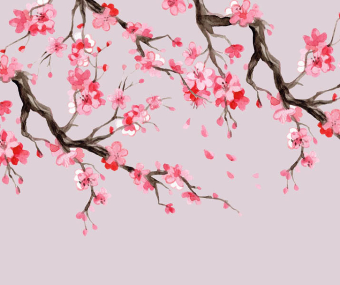 Фотошпалери сакура