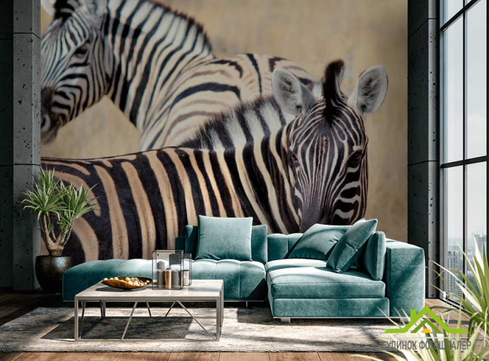 выбрать Фотообои Настороженные зебры Фотообои Зебры на стену
