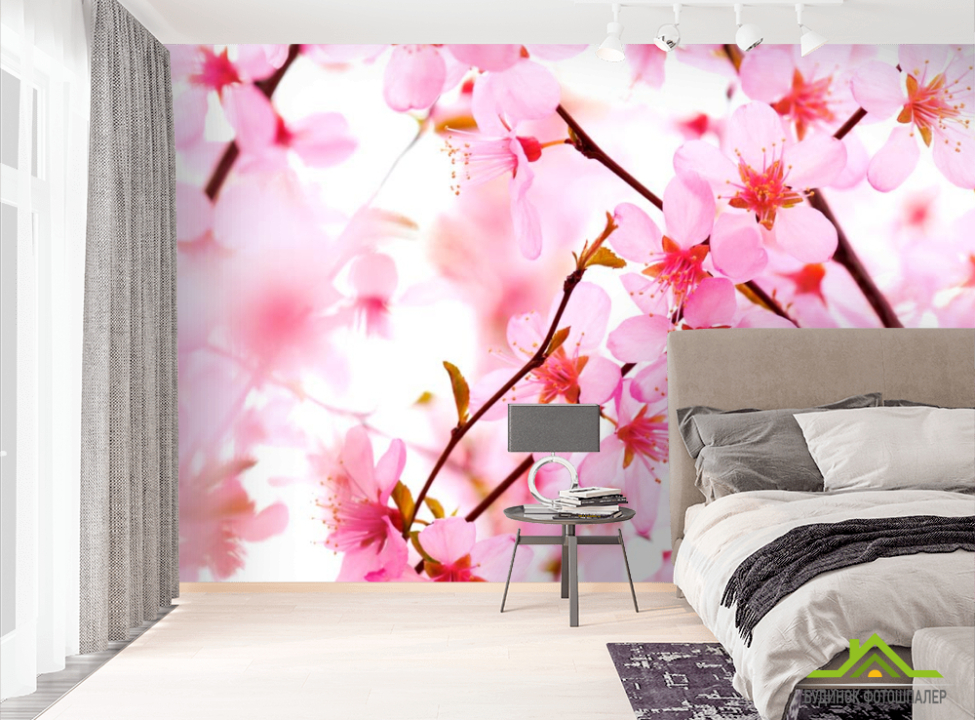 выбрать Фотошпалери Вишневі квіти розпустилися Фотошпалери Вишня на стіну
