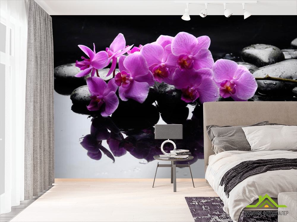 Фотообои Ветка орхидеи на камнях