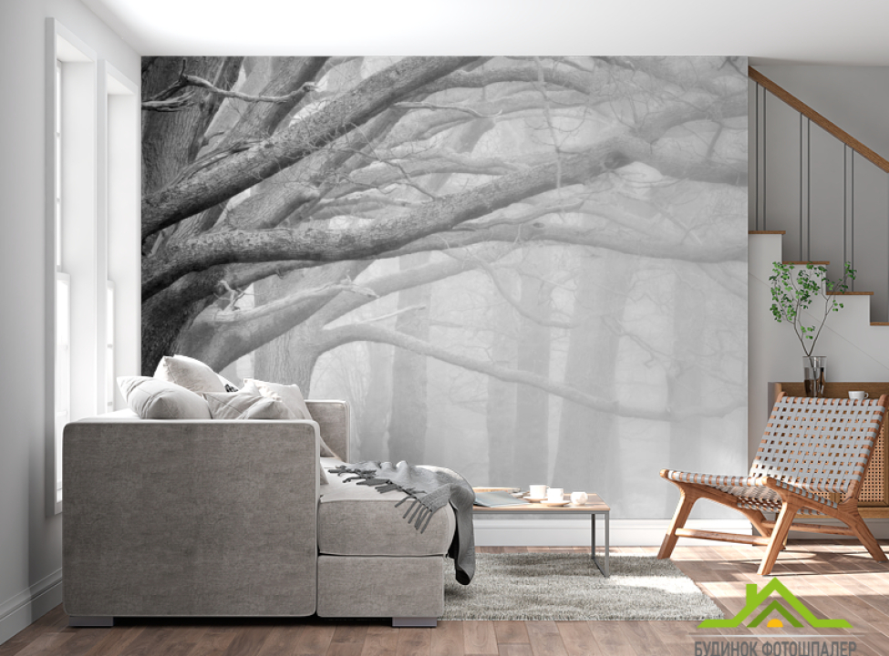 выбрать Фотошпалери великі сірі дерева Фотошпалери Природа на стіну