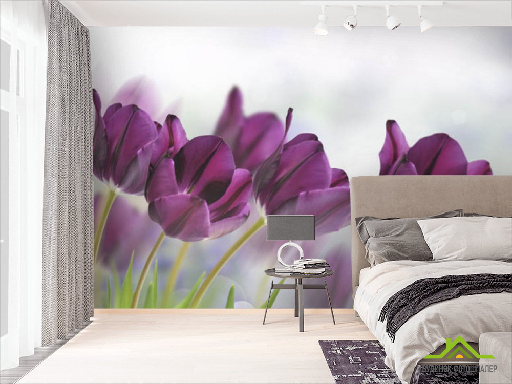 Фотошпалери тюльпани