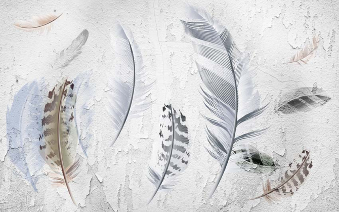 Фотообои Перья в скандинавском стиле