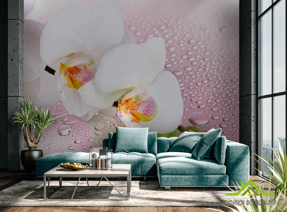 выбрать Фотообои Две белых орхидеи Фотообои Орхидеи на стену