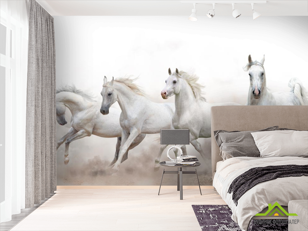 Фотошпалери чотири білі коні