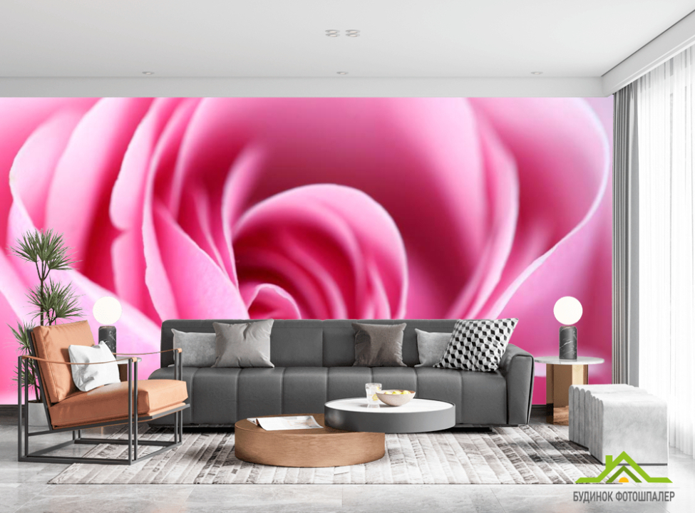 выбрать Фотошпалери Рожева бліда троянда Фотошпалери Троянди на стіну