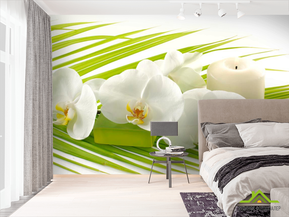 Фотообои Белая орхидея