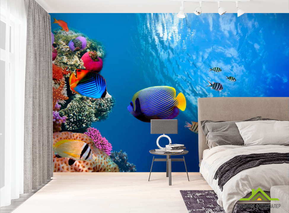выбрать Фотошпалери У кромки води Фотошпалери Риби і море на стіну