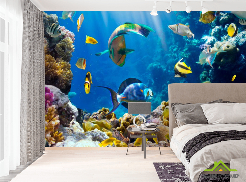 выбрать Фотошпалери Рибки на морському дні Фотошпалери Риби і море на стіну