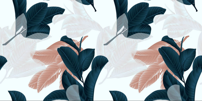 Фотообои Листья фикуса