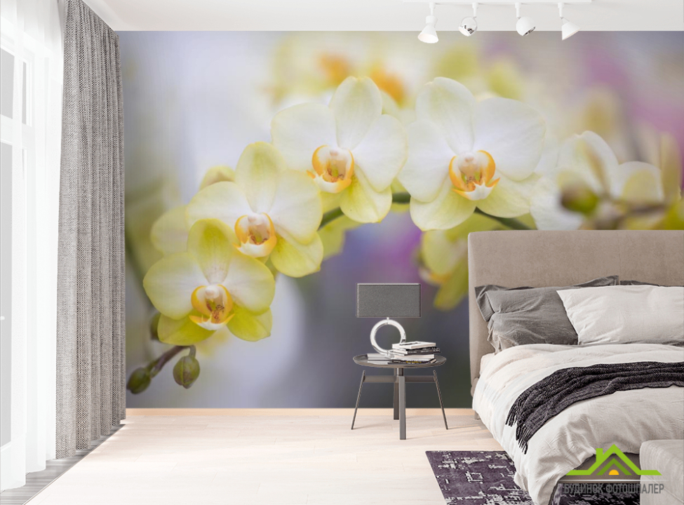 выбрать Фотошпалери жовті орхідеї Фотошпалери Орхідеї на стіну