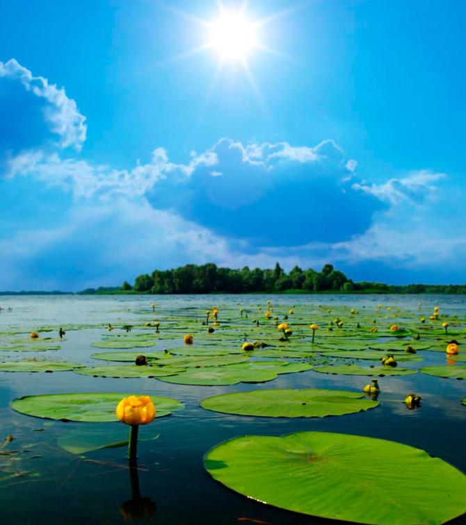Фотошпалери Річка, хмари, кубушки