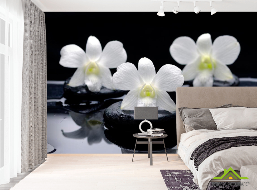 выбрать Фотообои Белые орхидеи на камнях Фотообои Орхидеи на стену