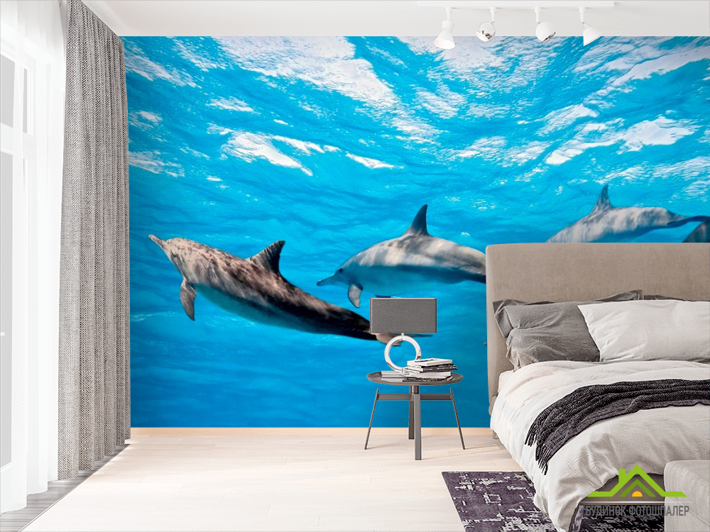 Фотошпалери Гра дельфінів