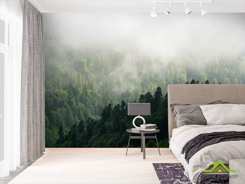 Фотообои Вид на туманый лес