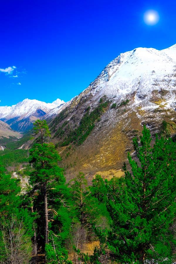 Фотообои Месяц, гора, ёль