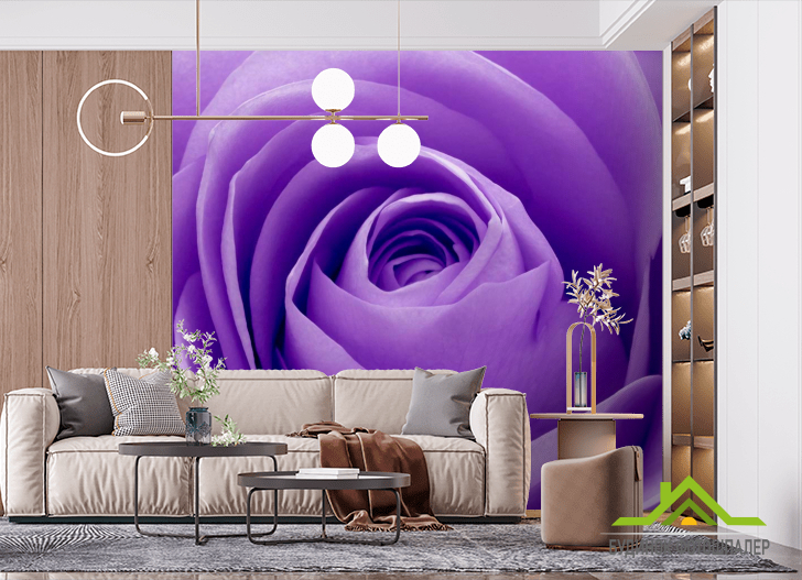 Фотообои Сиреневая роза