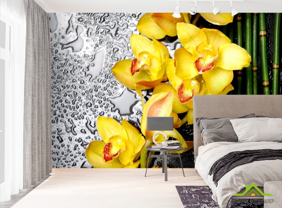 выбрать Фотошпалери Жовті орхідеї Фотошпалери Орхідеї на стіну