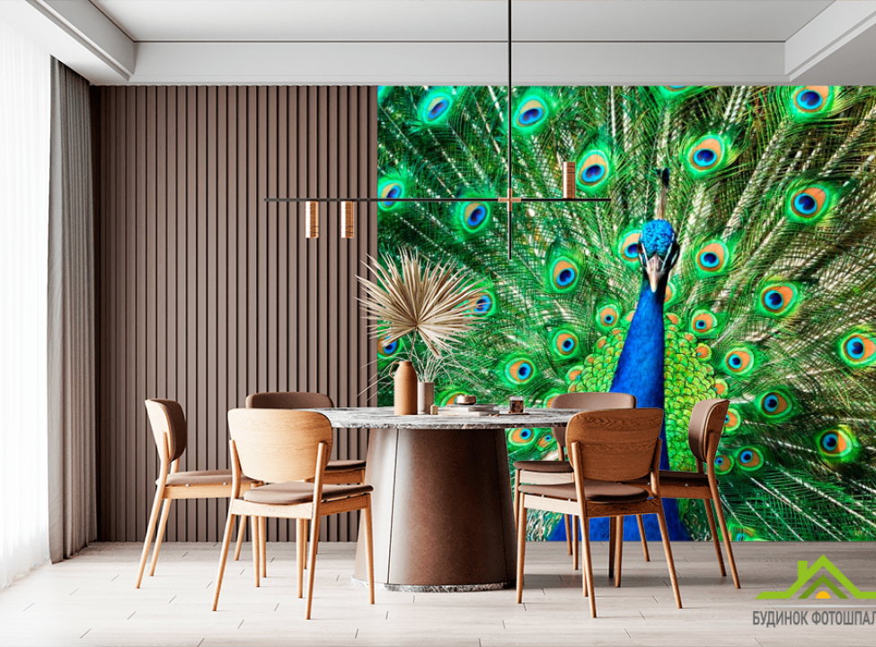 выбрать Фотошпалери Прекрасний павич Фотошпалери Птиці на стіну