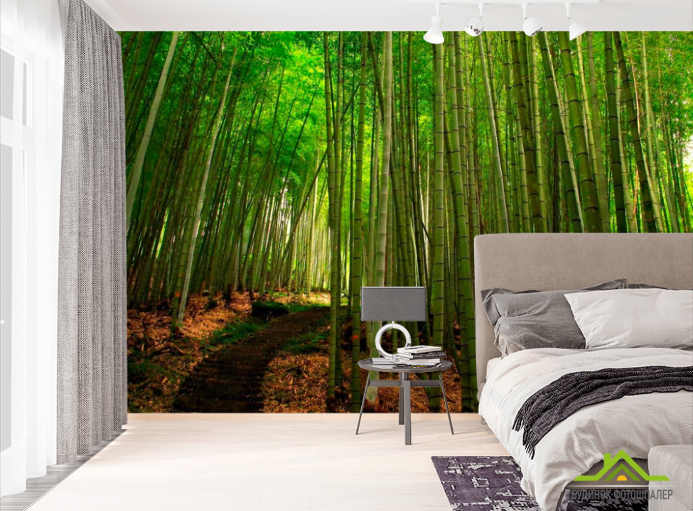 выбрать Фотообои Бамбук, тропинка Фотообои лес на стену