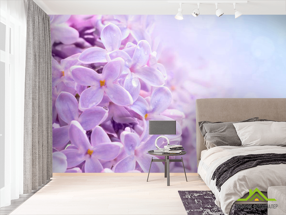 Фотообои Цветы сирени