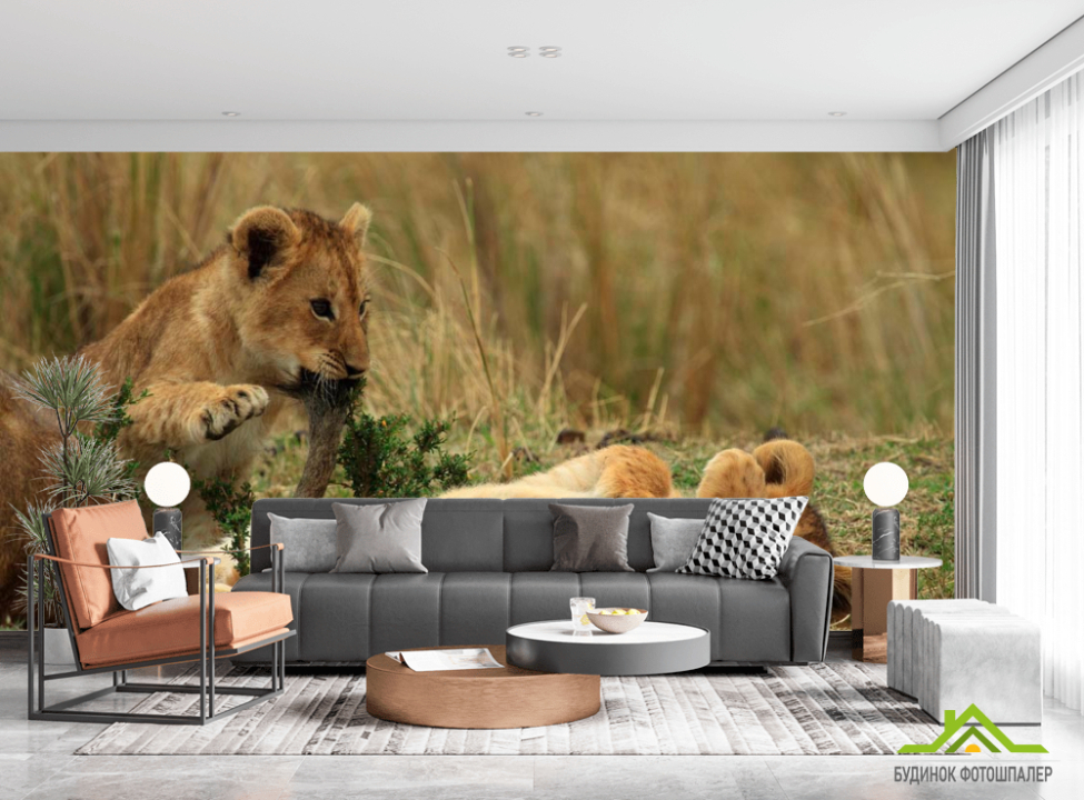 выбрать Фотошпалери Ігри левенят Фотошпалери Леви на стіну
