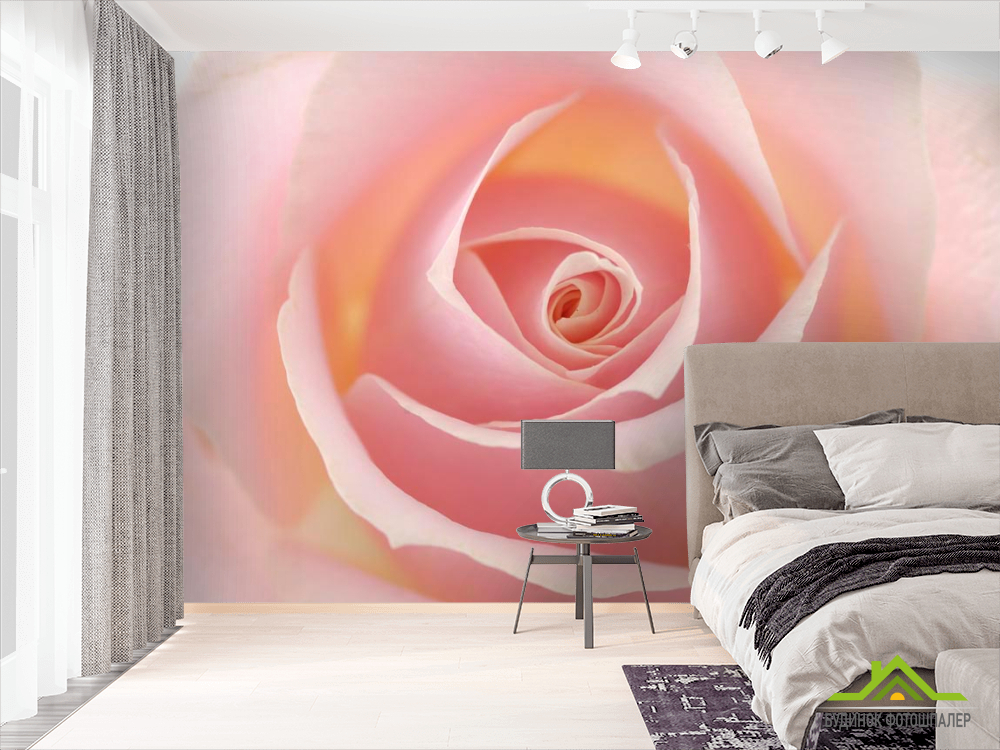 Фотошпалери Розочка кремова