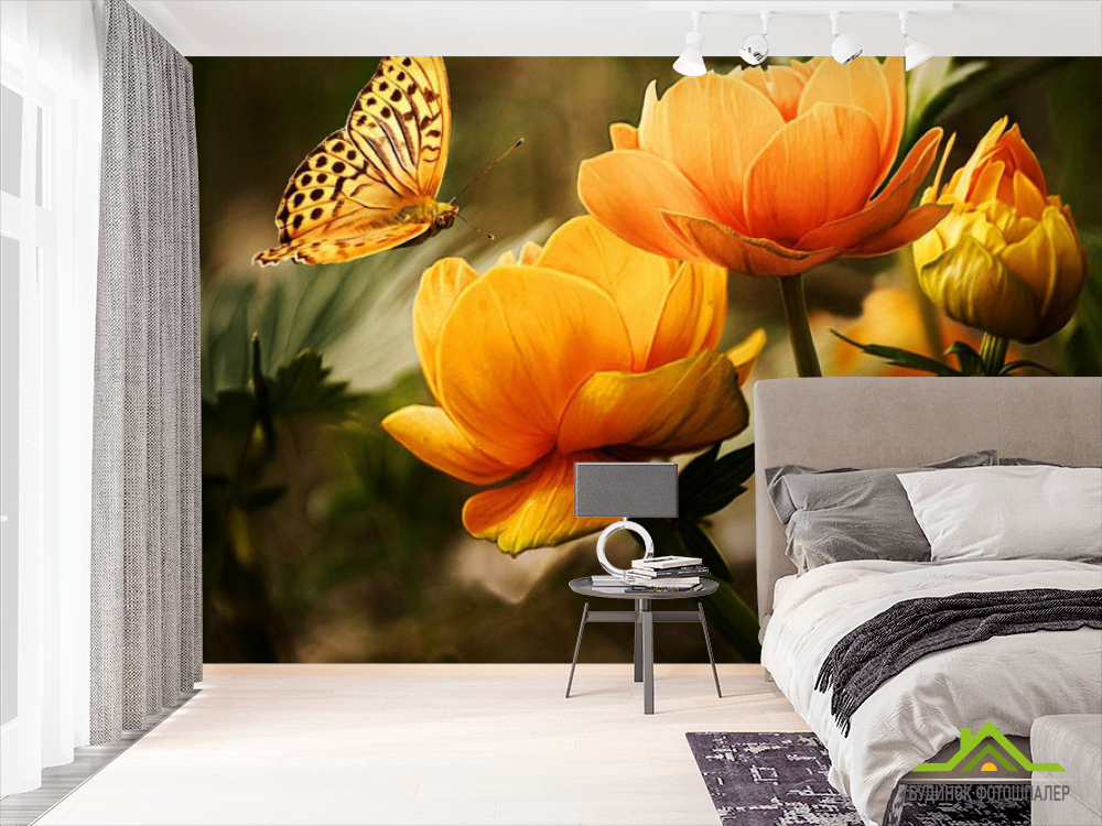 Фотошпалери метелик на квітах