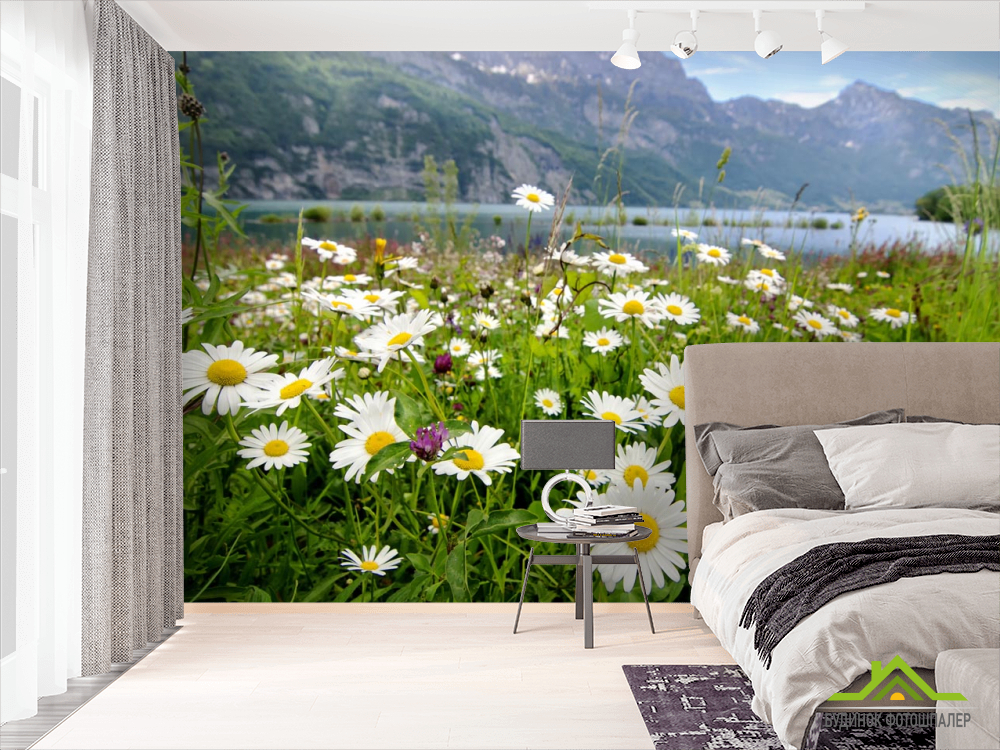 Фотошпалери ромашки в горах