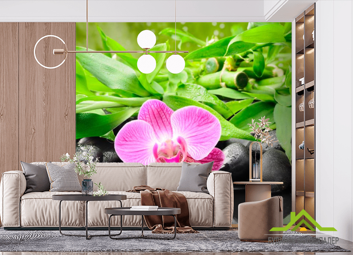 Фотошпалери Орхідея на каменях