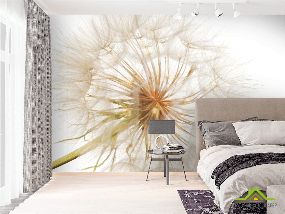 Фотообои одуванчик на бело фоне
