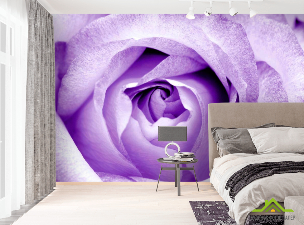 выбрать Фотошпалери Сніжно-бузкова троянда Фотошпалери Троянди на стіну