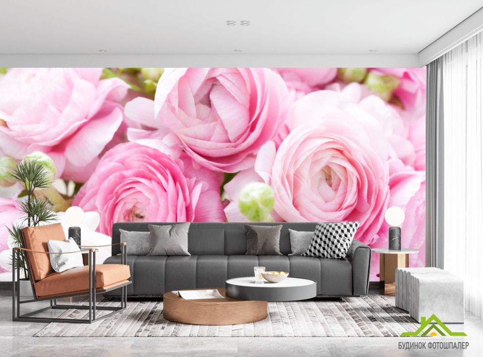 выбрать Фотошпалери Рожеві рунункулюсы Фотошпалери Квіти на стіну