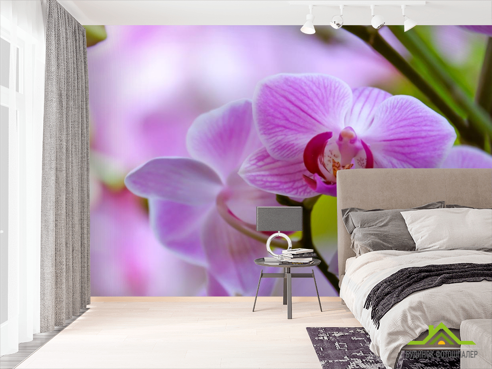 Фотошпалери орхідеї з листком