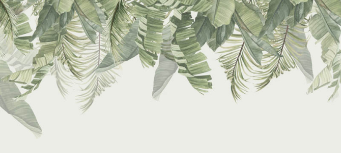 Фотошпалери листя зі стелі