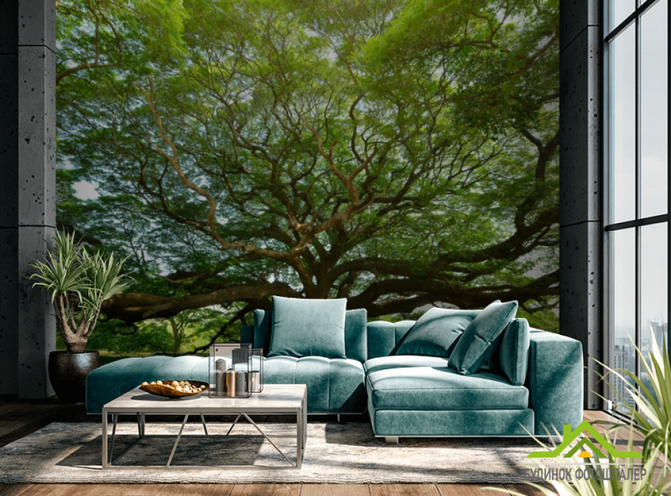 выбрать Фотошпалери величезне дерево Фотошпалери різні на стіну