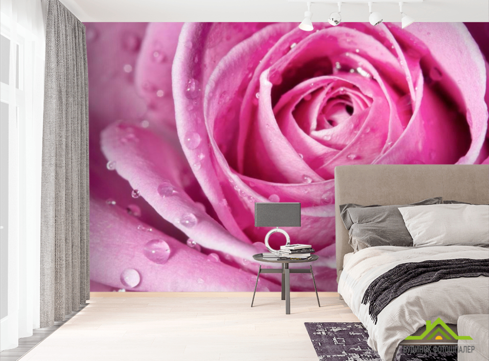 выбрать Фотошпалери Роса на розі Фотошпалери Троянди на стіну