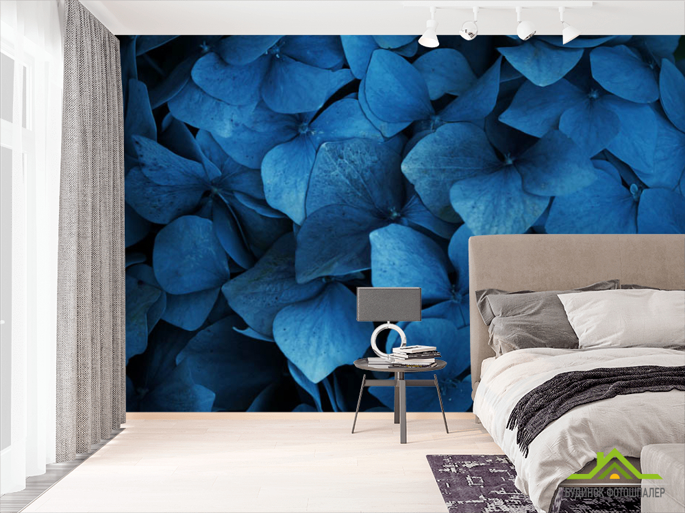 Фотошпалери Гортензія