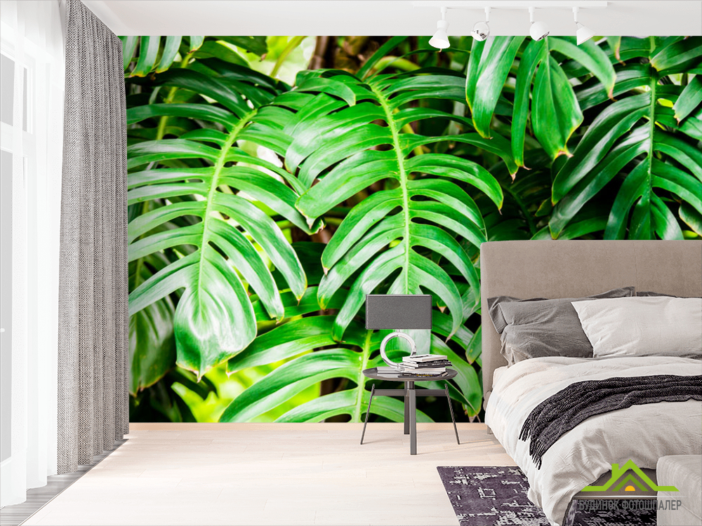 Фотошпалери Листя монстери