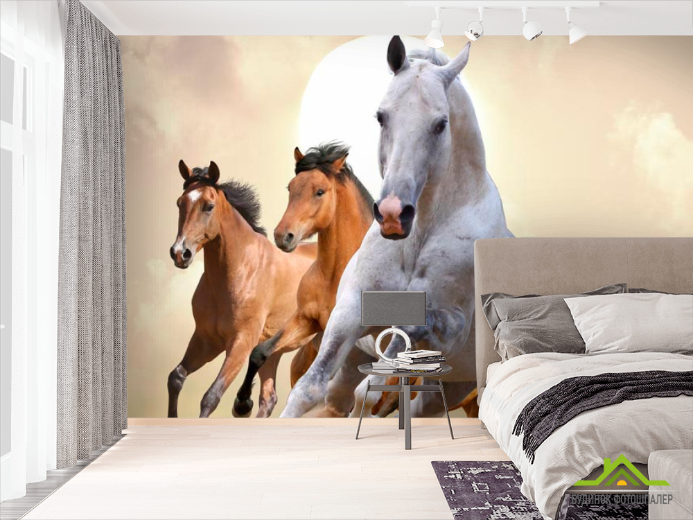 Фотошпалери Скачки коней