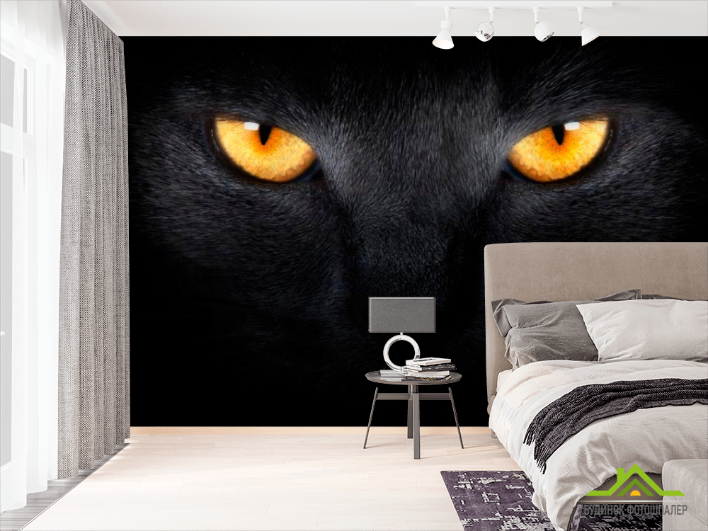 Фотошпалери Фотошпалери Чорна кішка
