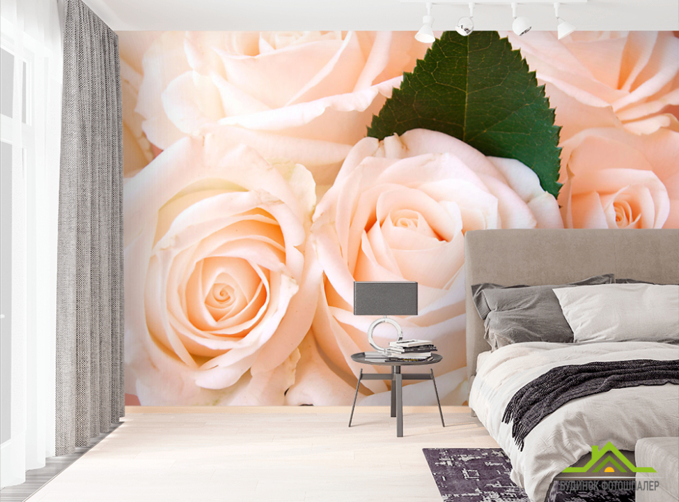 выбрать Фотошпалери Троянди Фотошпалери Квіти на стіну