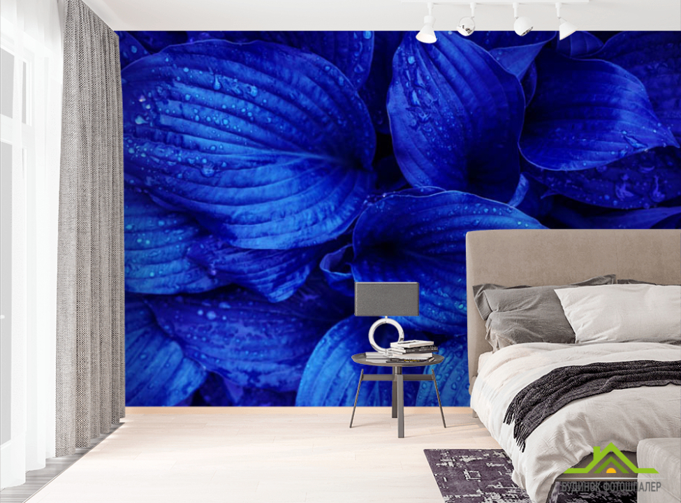 выбрать Фотошпалери сині листя Фотошпалери різні на стіну