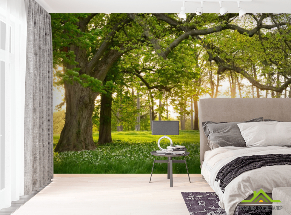выбрать Фотошпалери поляна Фотошпалери різні на стіну