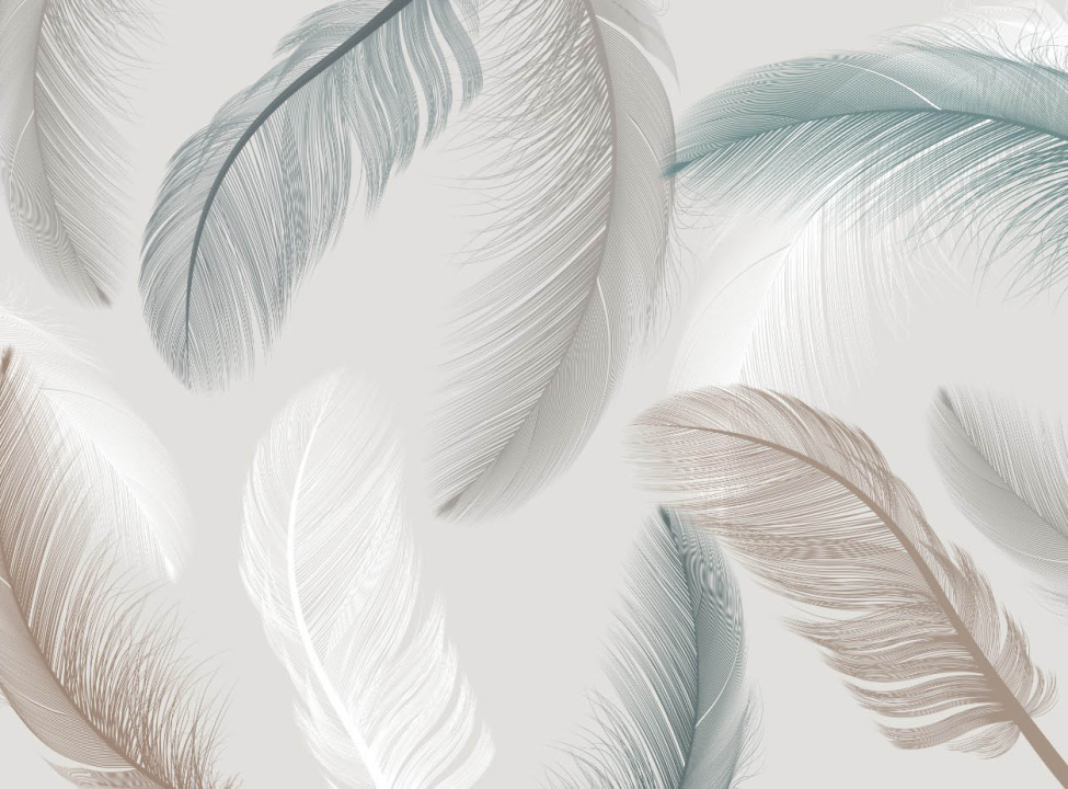 выбрать Фотообои Векторные перья Фотообои перья на стену