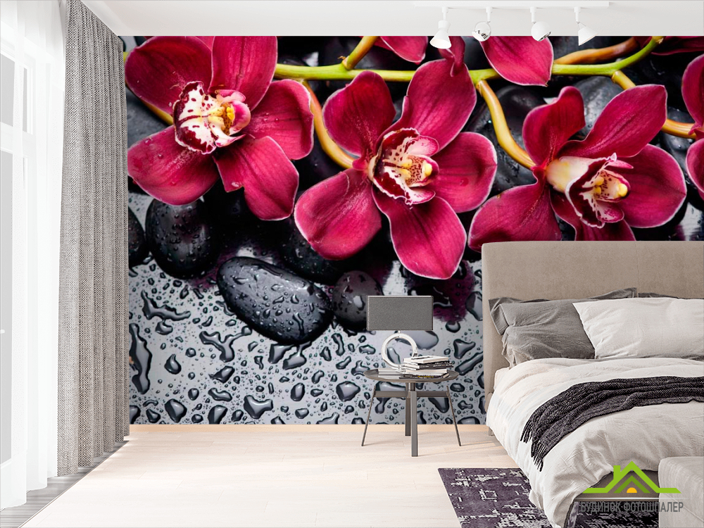 Фотообои Цветы на камнях